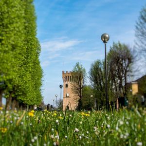 Torre guado a pizzighettone.jpg