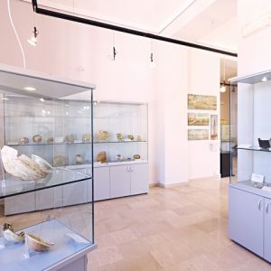 Museo - Sez. ceramiche.jpg