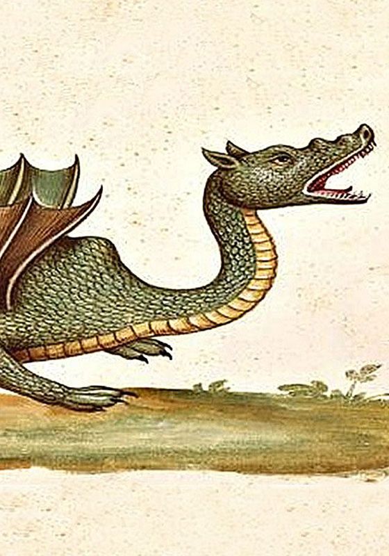 Drago Tarantasio